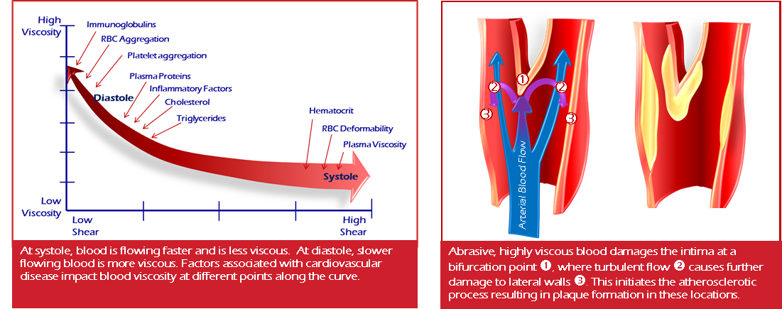 Blood viscosity