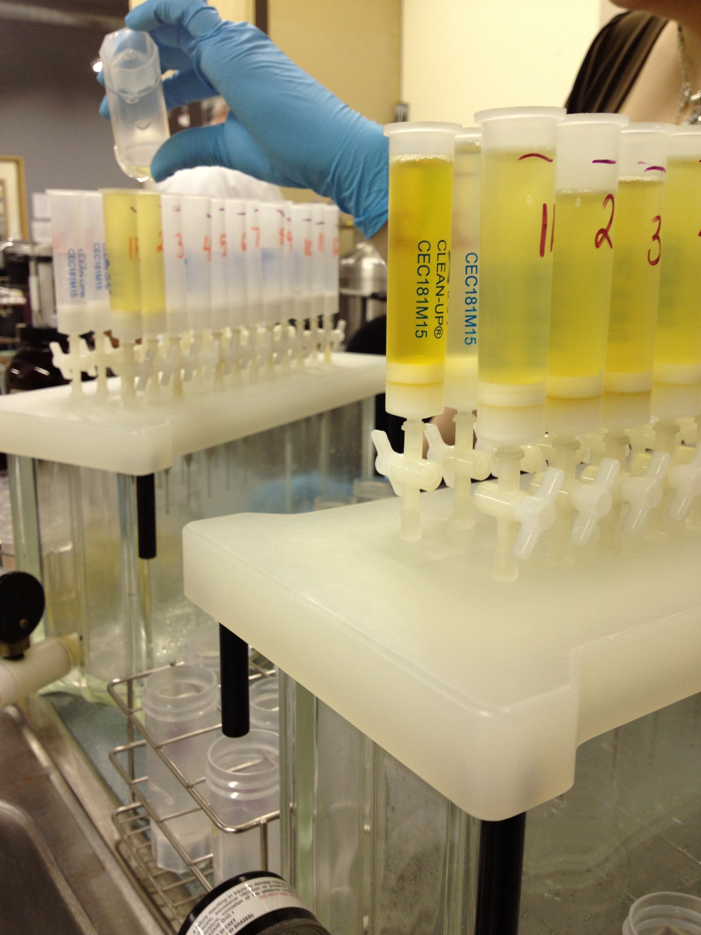 urine-collection-test-miami-urine-test-service-united-lab-service-images