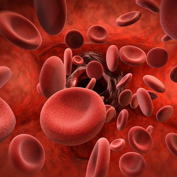 Whole Blood Viscosity, the Common Denominator for Cardiovascular Health ...